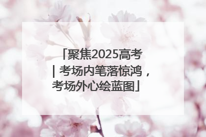 聚焦2025高考｜考场内笔落惊鸿，考场外心绘蓝图
