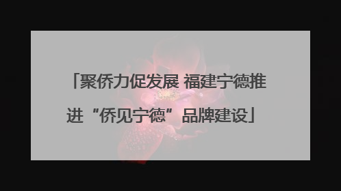 聚侨力促发展 福建宁德推进“侨见宁德”品牌建设
