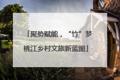 聚势赋能，“竹”梦桃江乡村文旅新蓝图