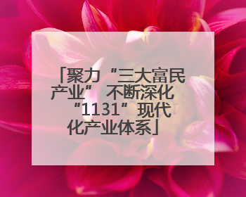 聚力“三大富民产业” 不断深化“1131”现代化产业体系