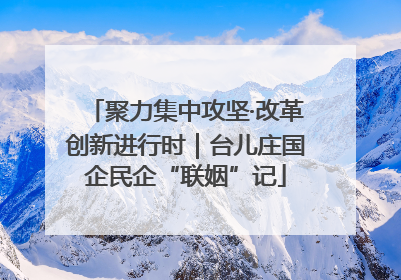 聚力集中攻坚·改革创新进行时｜台儿庄国企民企“联姻”记