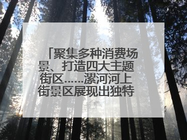 聚集多种消费场景、打造四大主题街区……漯河河上街景区展现出独特“夜”活力