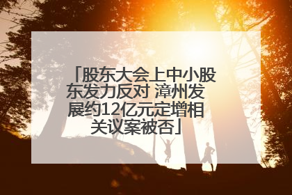 股东大会上中小股东发力反对 漳州发展约12亿元定增相关议案被否