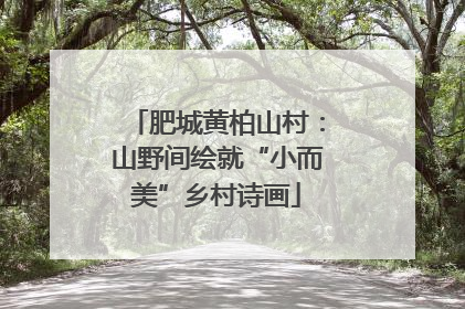 肥城黄柏山村：山野间绘就“小而美”乡村诗画