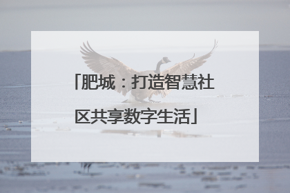 肥城：打造智慧社区共享数字生活