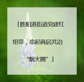 胜阳港街道党建红纽带，串起商居共治 “烟火圈”