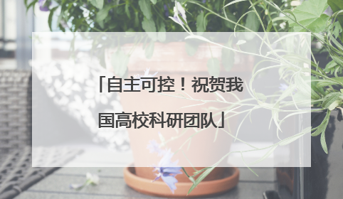自主可控！祝贺我国高校科研团队