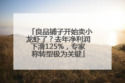 良品铺子开始卖小龙虾了？去年净利润下滑125%，专家称转型极为关键