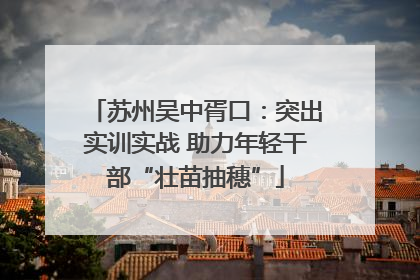 苏州吴中胥口：突出实训实战 助力年轻干部“壮苗抽穗”