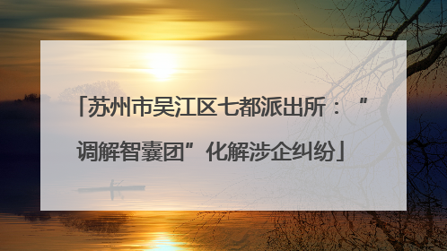 苏州市吴江区七都派出所：“调解智囊团”化解涉企纠纷