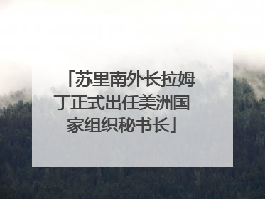 苏里南外长拉姆丁正式出任美洲国家组织秘书长
