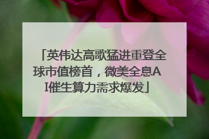 英伟达高歌猛进重登全球市值榜首，微美全息AI催生算力需求爆发