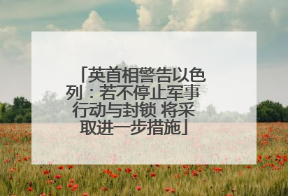 英首相警告以色列：若不停止军事行动与封锁 将采取进一步措施