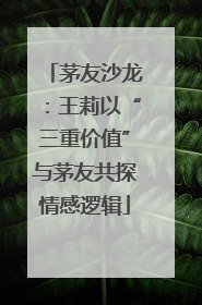 茅友沙龙：王莉以“三重价值”与茅友共探情感逻辑