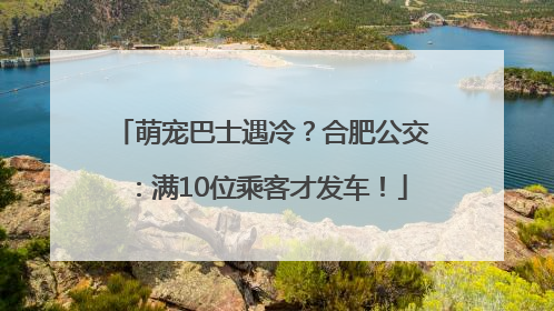 萌宠巴士遇冷？合肥公交：满10位乘客才发车！