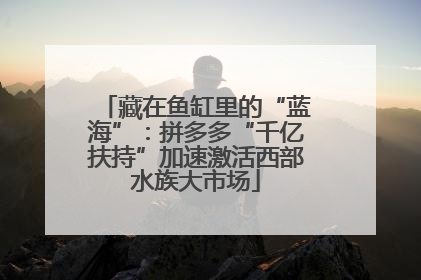 藏在鱼缸里的“蓝海”：拼多多“千亿扶持”加速激活西部水族大市场
