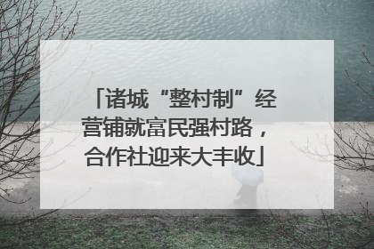 诸城“整村制”经营铺就富民强村路，合作社迎来大丰收