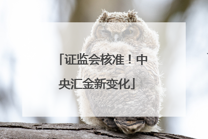 证监会核准！中央汇金新变化