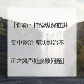 许勤：持续纵深推进集中整治 坚决纠治不正之风查处腐败问题