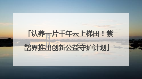 认养一片千年云上梯田！紫鹊界推出创新公益守护计划