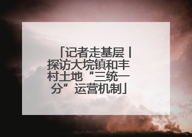 记者走基层丨探访大垸镇和丰村土地“三统一分”运营机制