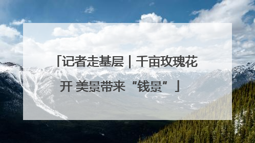记者走基层｜千亩玫瑰花开 美景带来“钱景”