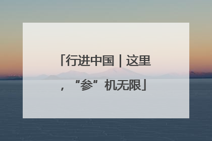 行进中国｜这里，“参”机无限