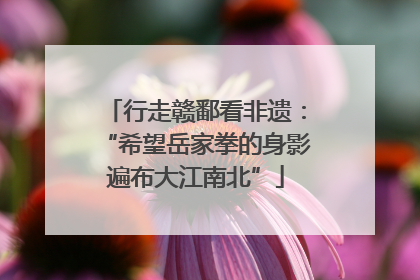 行走赣鄱看非遗：“希望岳家拳的身影遍布大江南北”