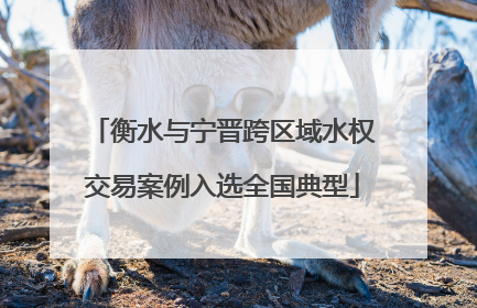 衡水与宁晋跨区域水权交易案例入选全国典型