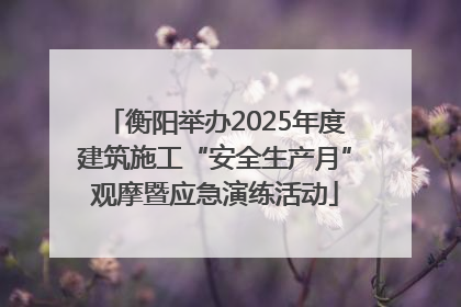 衡阳举办2025年度建筑施工“安全生产月”观摩暨应急演练活动
