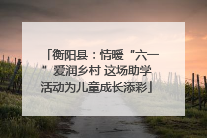 衡阳县：情暖“六一”爱润乡村 这场助学活动为儿童成长添彩