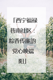 西宁福禄巷南社区：粽香传廉韵 党心映端阳