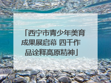 西宁市青少年美育成果展启幕 四千作品诠释高原精神
