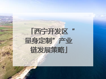 西宁开发区“量身定制”产业链发展策略