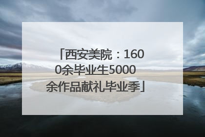 西安美院：1600余毕业生5000余作品献礼毕业季