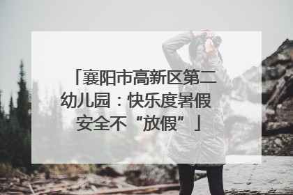 襄阳市高新区第二幼儿园：快乐度暑假 安全不“放假”