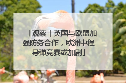 观察｜英国与欧盟加强防务合作，欧洲中程导弹竞赛或加剧