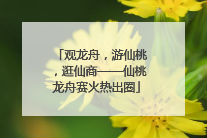 观龙舟，游仙桃，逛仙商——仙桃龙舟赛火热出圈