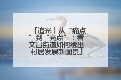追光丨从“痛点”到“亮点”：看文昌街道如何绣出村居发展新图景