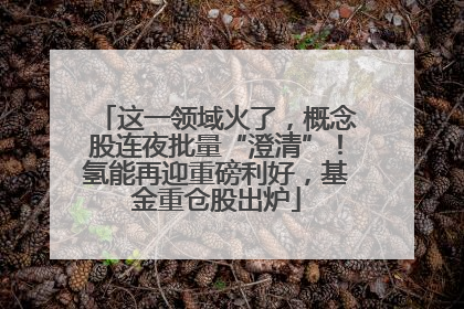 这一领域火了，概念股连夜批量“澄清”！氢能再迎重磅利好，基金重仓股出炉