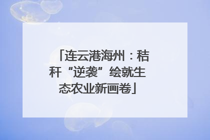 连云港海州：秸秆“逆袭”绘就生态农业新画卷