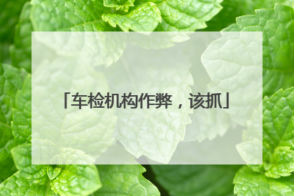 车检机构作弊，该抓