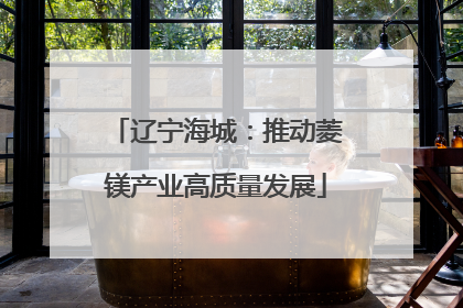 辽宁海城：推动菱镁产业高质量发展