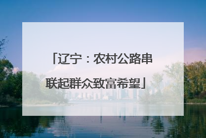 辽宁：农村公路串联起群众致富希望