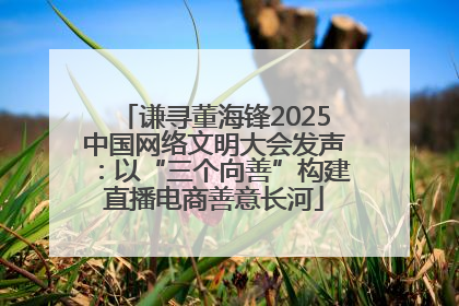 谦寻董海锋2025中国网络文明大会发声：以“三个向善”构建直播电商善意长河