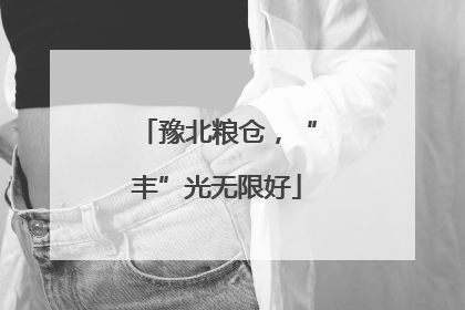 豫北粮仓，“丰”光无限好