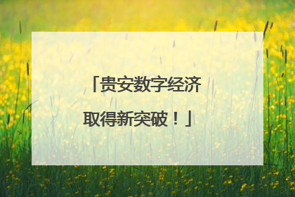 贵安数字经济取得新突破！