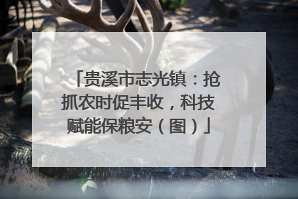 贵溪市志光镇：抢抓农时促丰收，科技赋能保粮安（图）