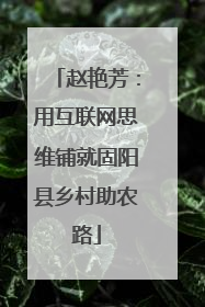 赵艳芳：用互联网思维铺就固阳县乡村助农路