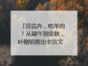 赏花卉，吃羊肉！从端午到金秋，叶榭镇推出丰富文旅活动邀您爽玩